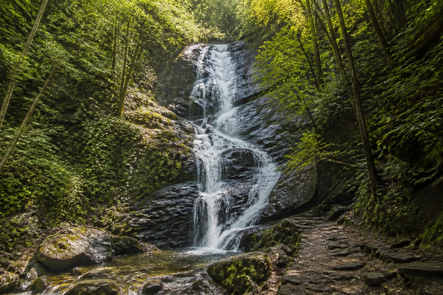A forest waterfall flowing through mossy rock in soft daylight
